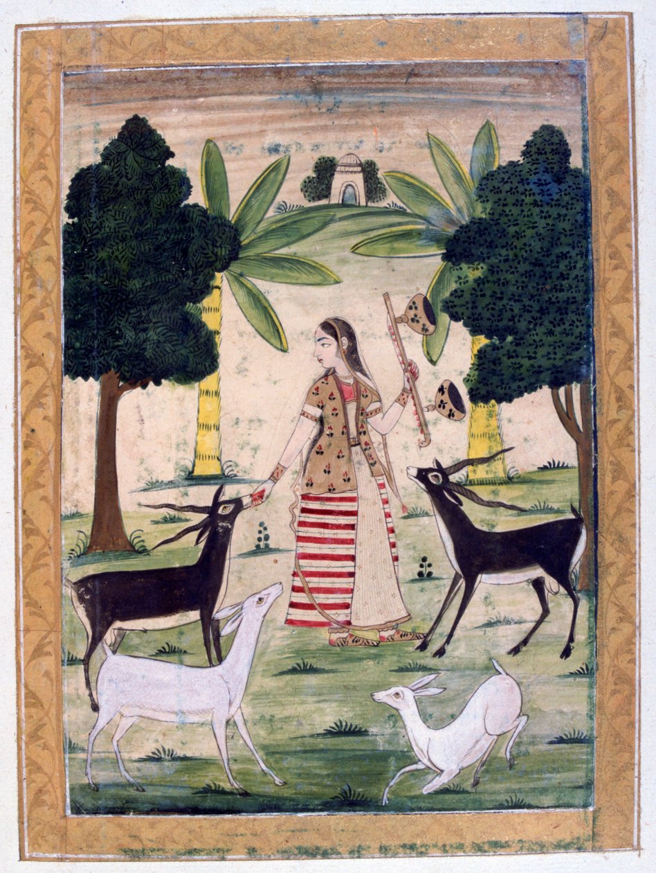 Todi Ragini, Ragamala Album, School of Rajasthan by Unbekannt