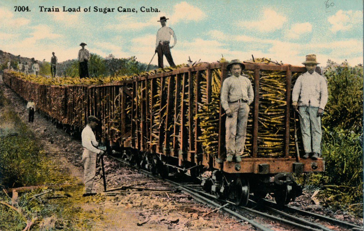 Train Load of Sugar Cane Leaving the Field, Cuba by Unbekannt