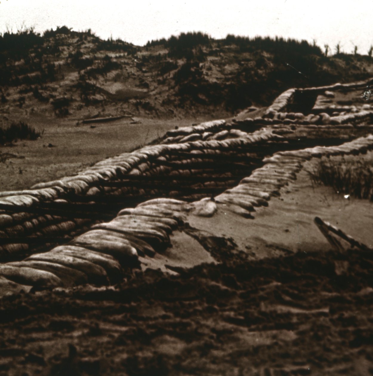 Trenches in the shelter of the dunes, Nieuwpoort, Flanders, Belgium, c1914-c1918 by Unbekannt
