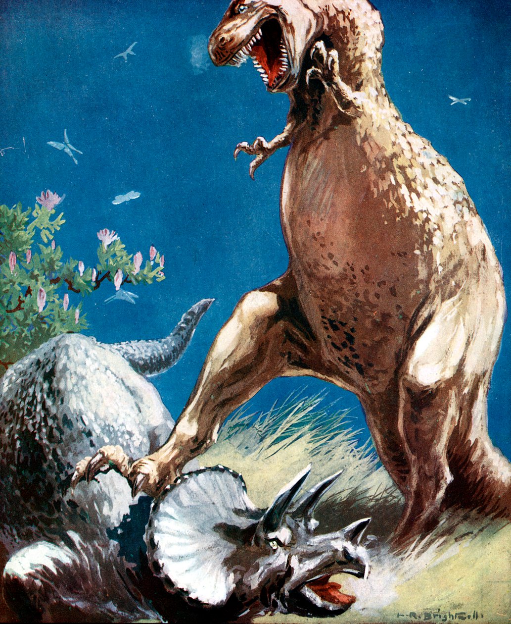 Triceratops, a Horned Dinosaur, Held Down by a Tyrannosaur, c1920 by Unbekannt