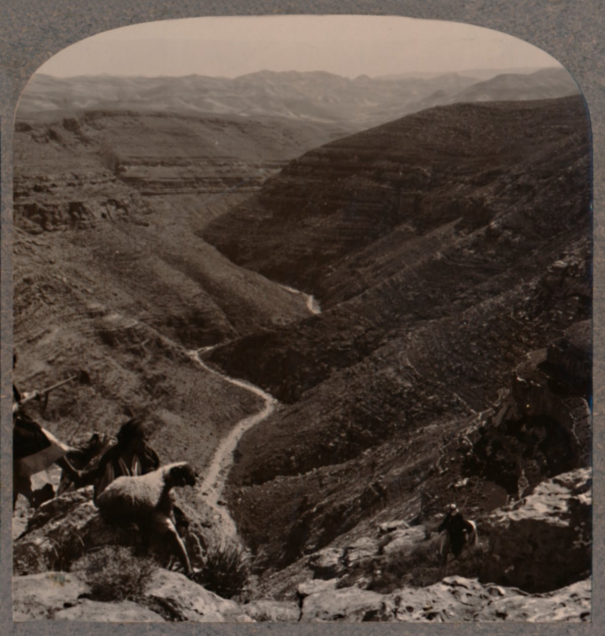 Valley of the Arno, Shepherd and Sheep in Foreground, c1900 by Unbekannt