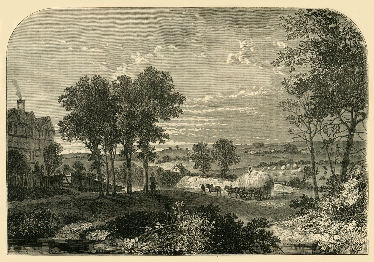 View from Moll King
