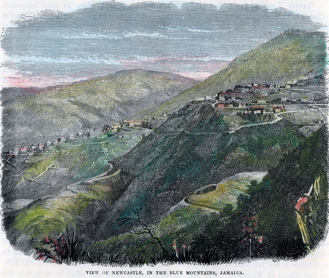 View of Newcastle, in the Blue Mountains, Jamaica by Unbekannt
