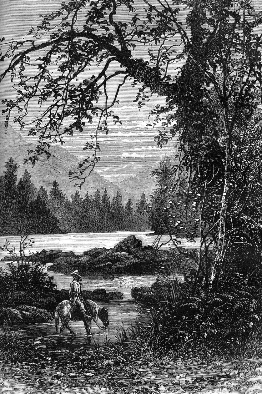 View of North Carolina, late 18th century by Unbekannt