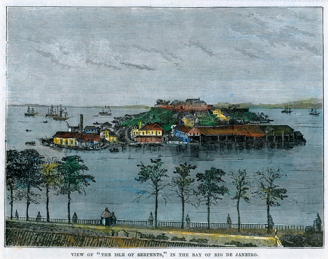 View of The Isle of Serpents, Bay of Rio de Janeiro, Brazil, 1880 by Unbekannt