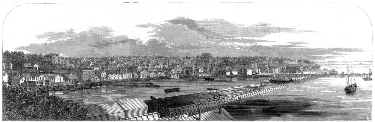 View of the City of Auckland, New Zealand, with the New Commercial Embankment by Unbekannt