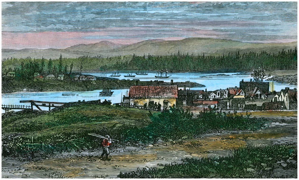 View of the Western Suburbs of Victoria, Vancouver Island, British Columbia, Canada by Unbekannt