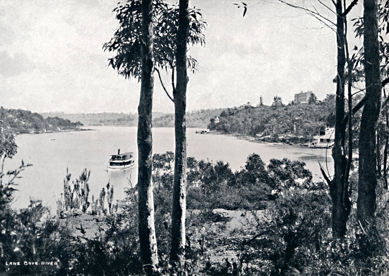 View on the Lane Cove River, c1900 by Unbekannt
