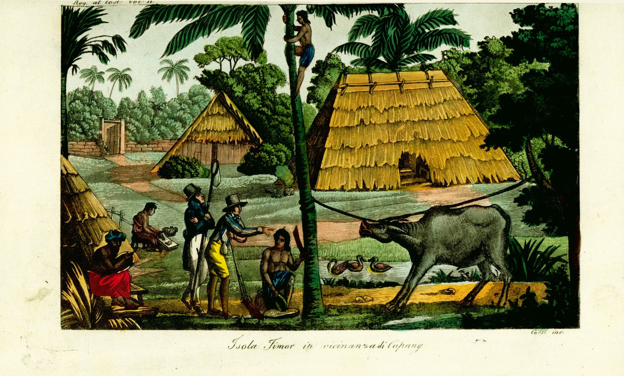 Village scene near Kupang, Timor by Unbekannt