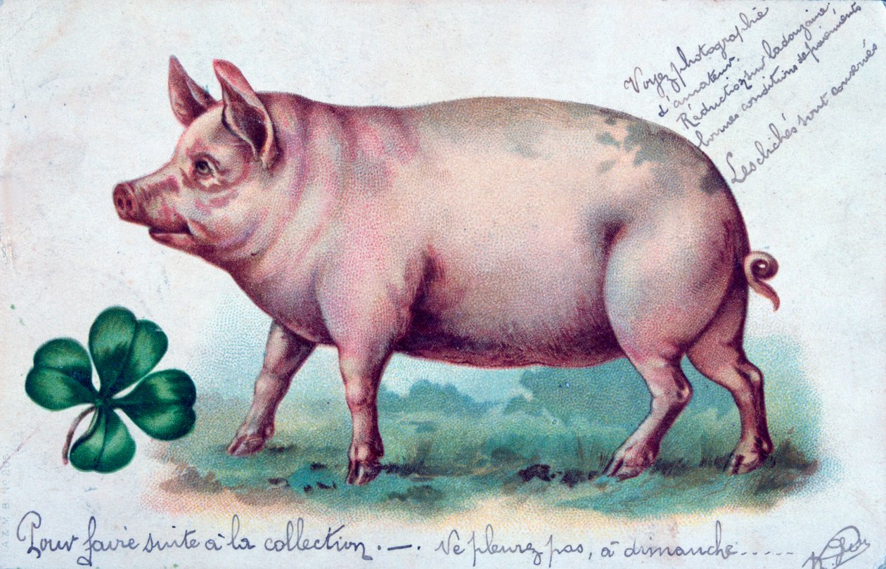 Vintage French Postcard by Unbekannt