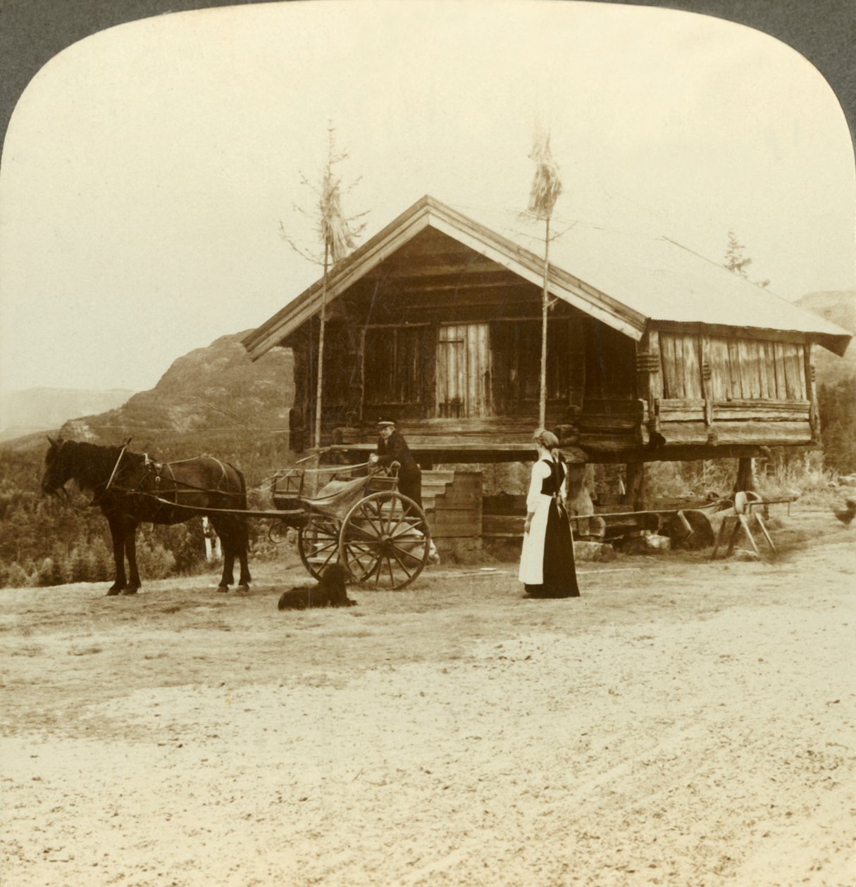 Waiting for passengers on the road near Bolkesjo, Norway by Unbekannt