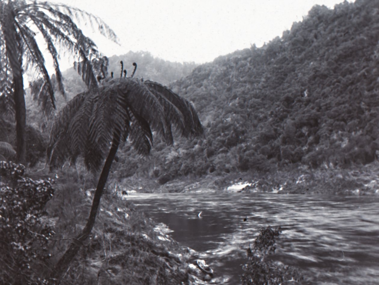Wanganui River, Late 19th-Early 20th Century by Unbekannt