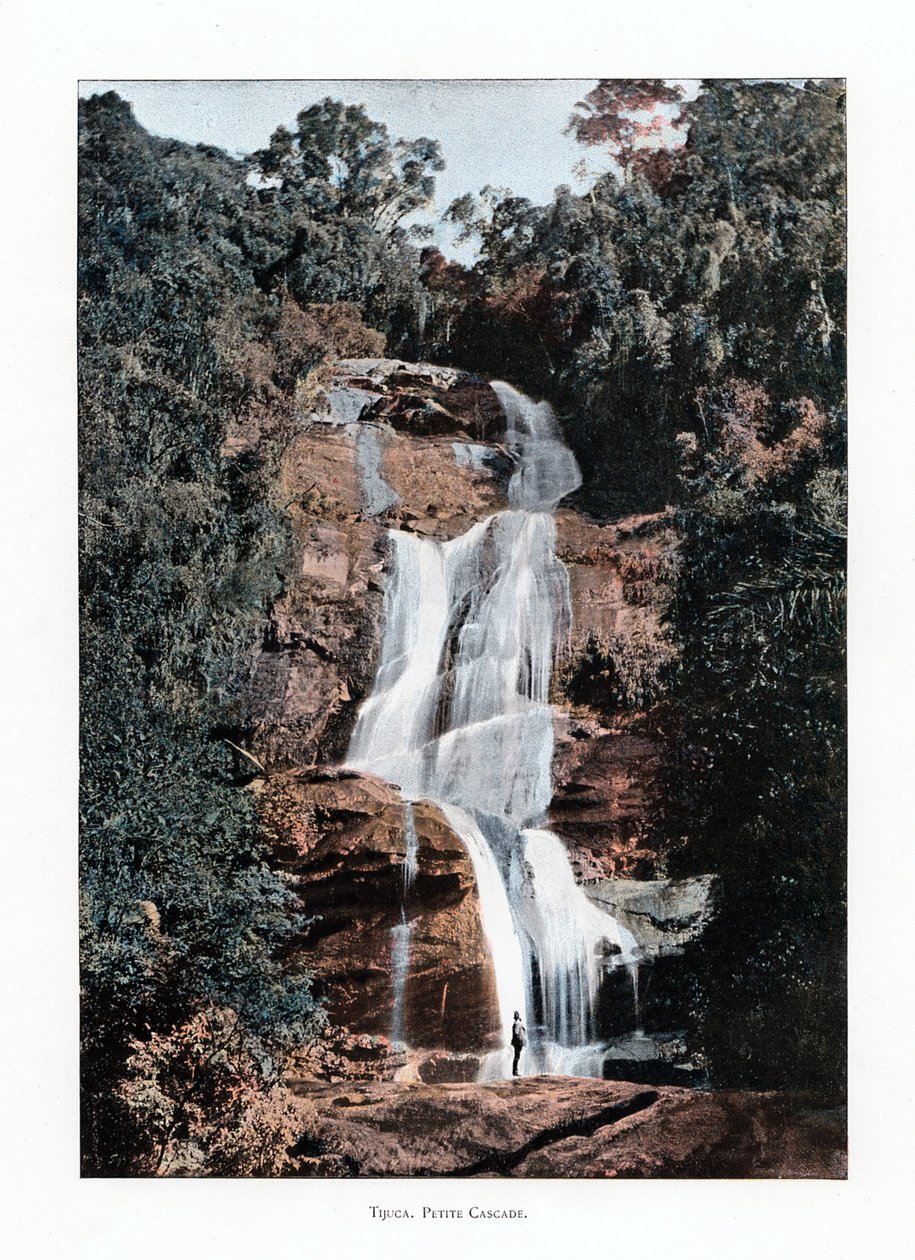 Waterfall in Tijuca, Rio de Janeiro, Brazil, 19th Century by Unbekannt