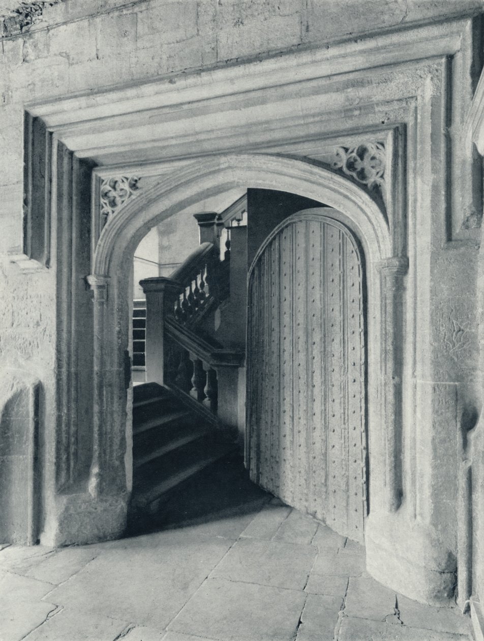 Waynflete