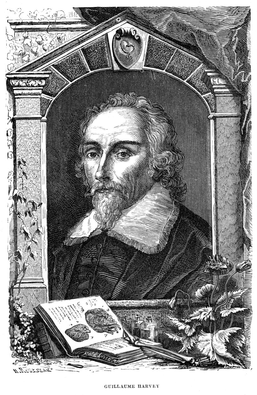 William Harvey, English Physician by Unbekannt