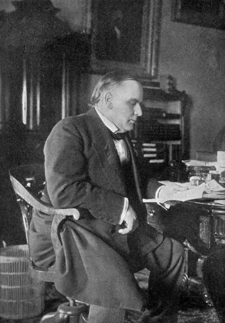 William McKinley, 25th President of the United States by Unbekannt