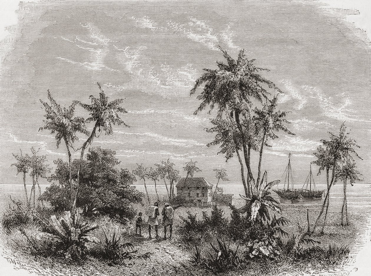 David Livingstone