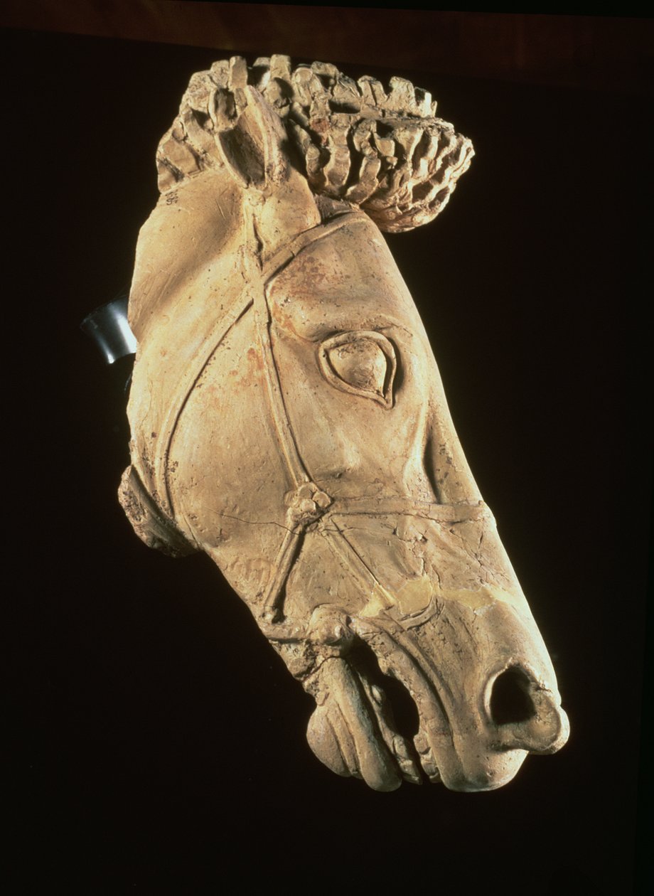 Head of a Horse, 4th-5th Century BC by Unbekannt Unbekannt
