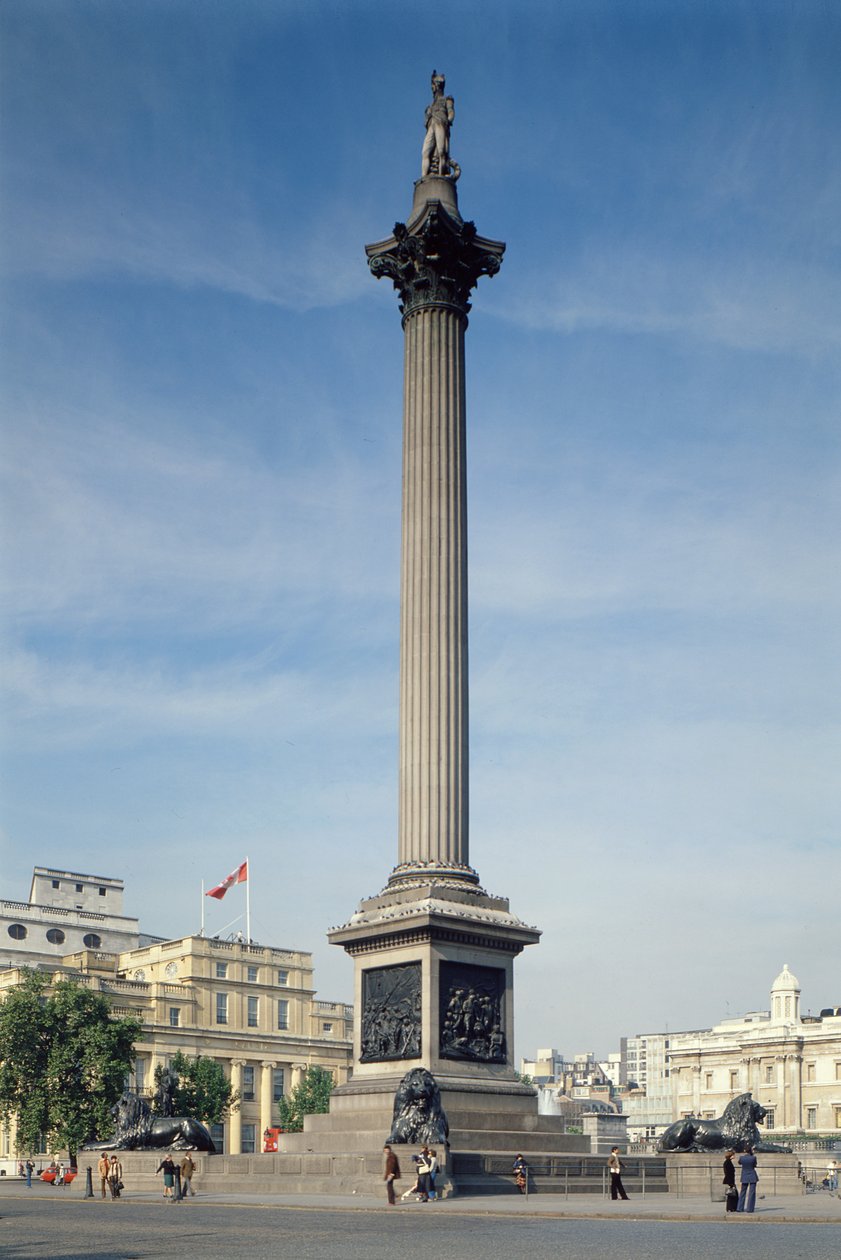 Nelson
