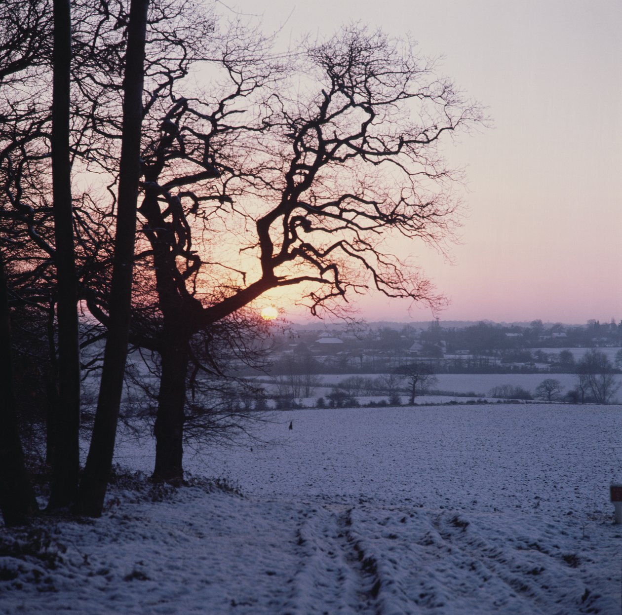 Winter Scene in the Snow, Hockley, Essex by Unbekannt Unbekannt