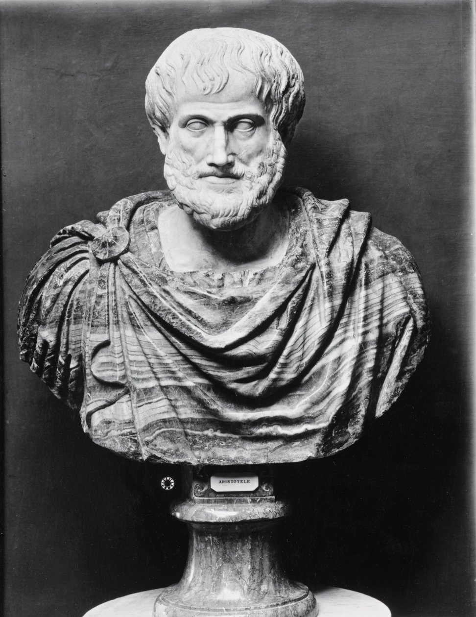 Bust of Aristotle by Unbekannt Unbekannt