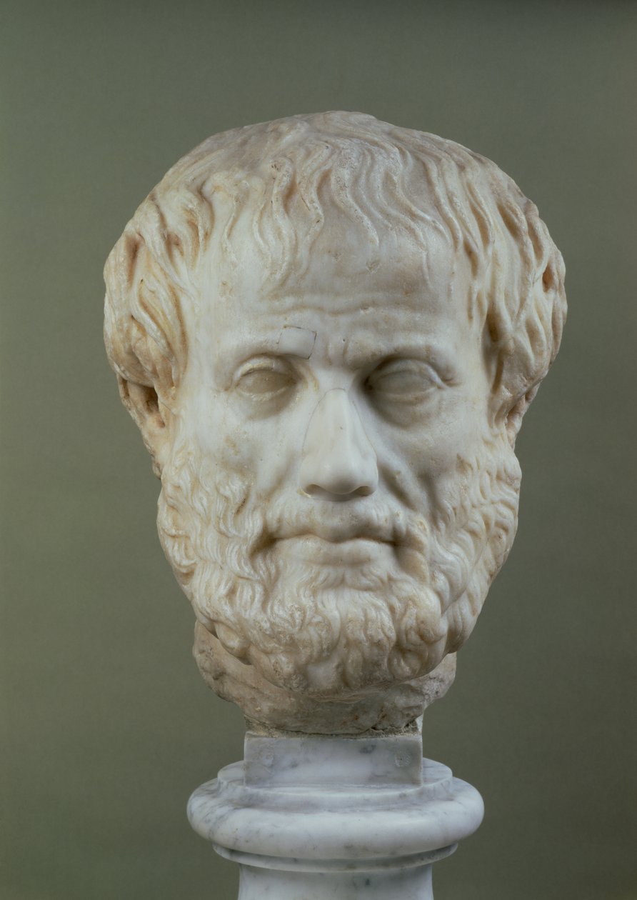 Marble Head of Aristotle by Unbekannt Unbekannt