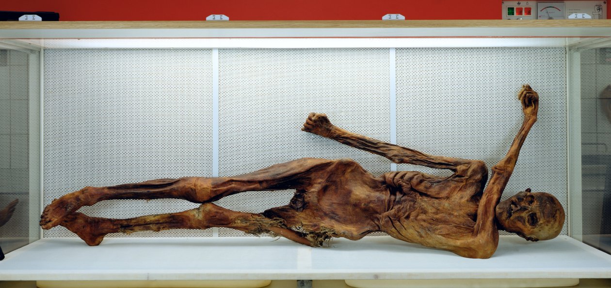 The Oetzi Iceman by Unbekannt Unbekannt