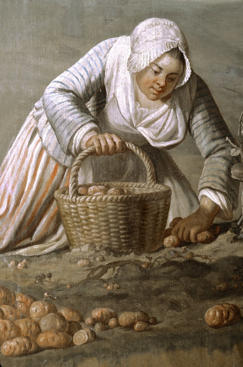 Detail Painting by Dominique Doncre by Unbekannt Unbekannt