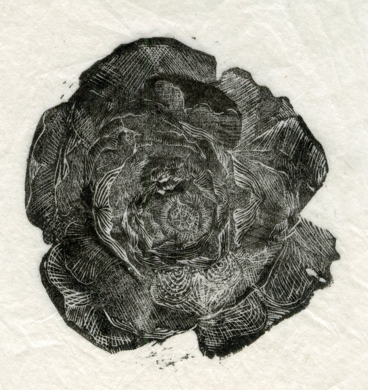 Pine Rose by Unbekannt Unbekannt