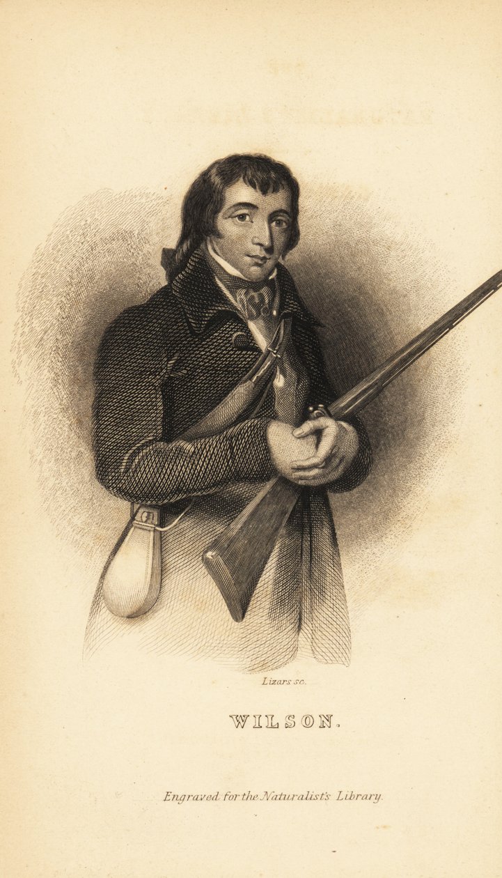 Alexander Wilson, Scottish American Ornithologist, Naturalist and Poet by Unbekannt