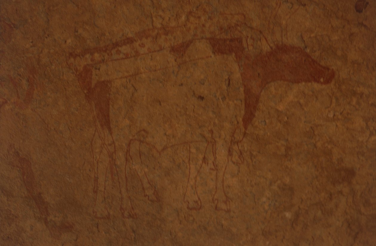Rock Painting Depicting Bull in Tassili-n-Ajjer National Park by William M. Timlin