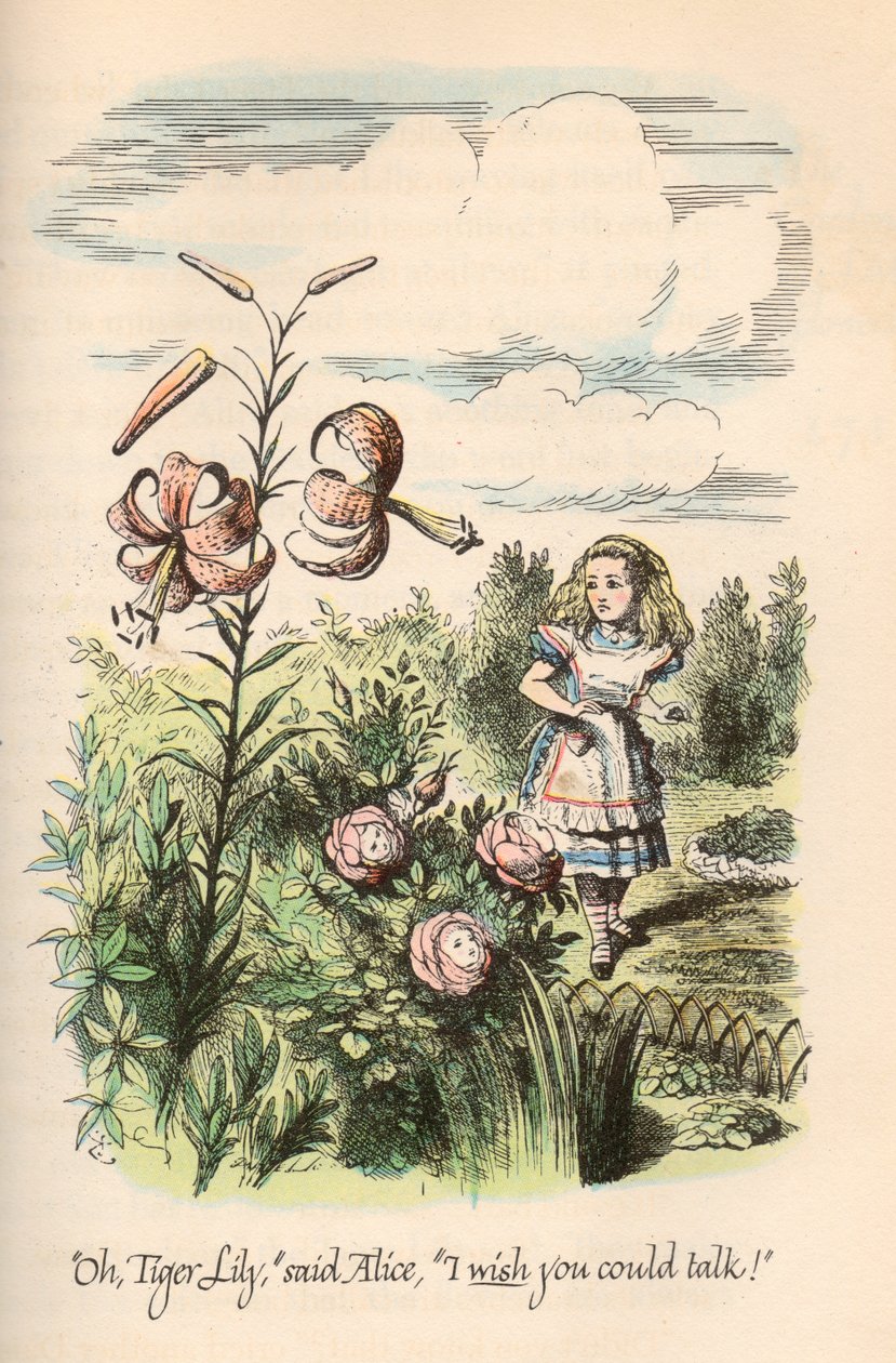 Alice in Wonderland & Through the Looking Glass, by Lewis Carroll, Illustrated by John Tenniel by Unbekannt