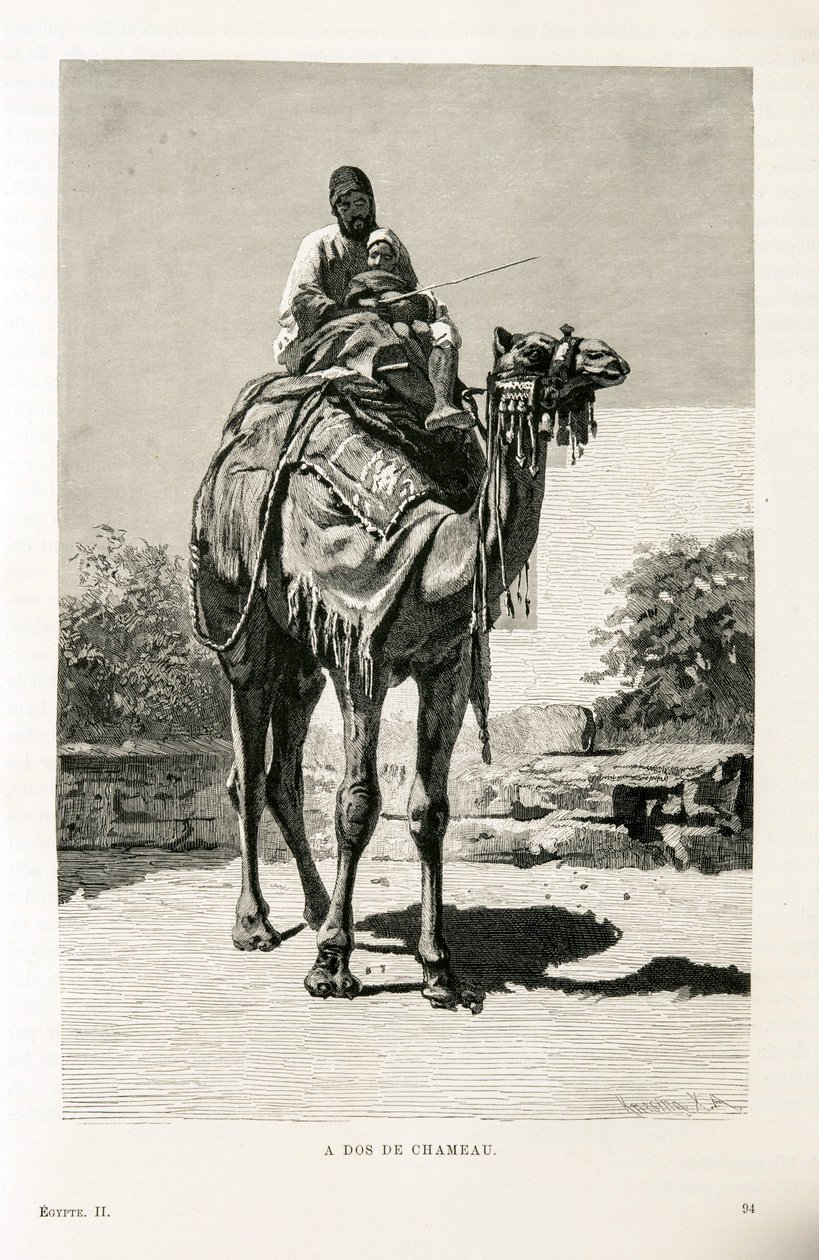 An Egyptian and His Child on a Camel - Illustration from the Atlas of Egypt by Unknown