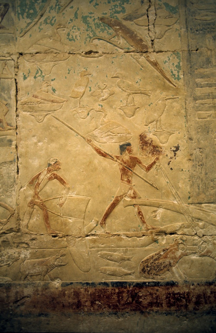 Ancient Egypt: Saqqarah: necropolis of the Old Empire, tomb of noble. Detail of the reliefs depicting a fishing scene by Leopold Blonder