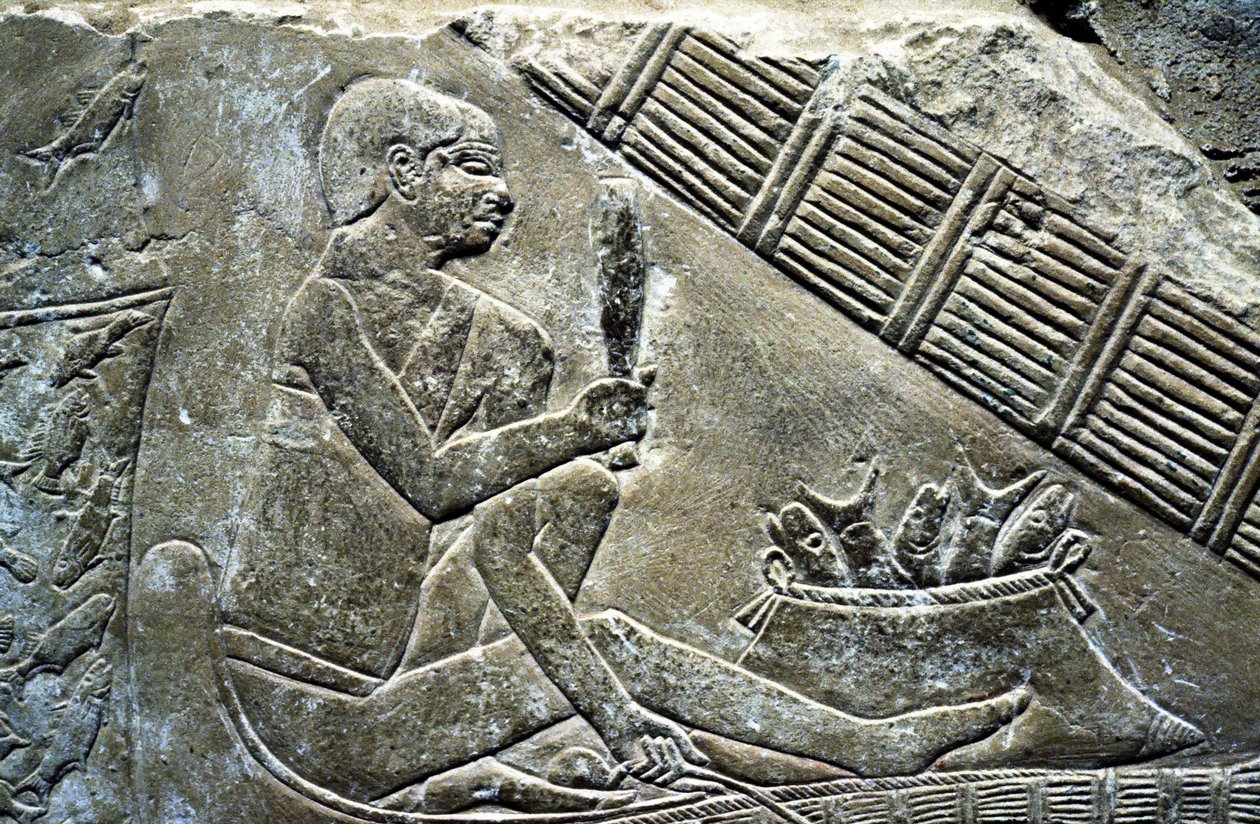 Ancient Egypt: Saqqarah: necropolis of the Old Empire, tomb of noble. Detail of reliefs representing a fisherman by Leopold Blonder