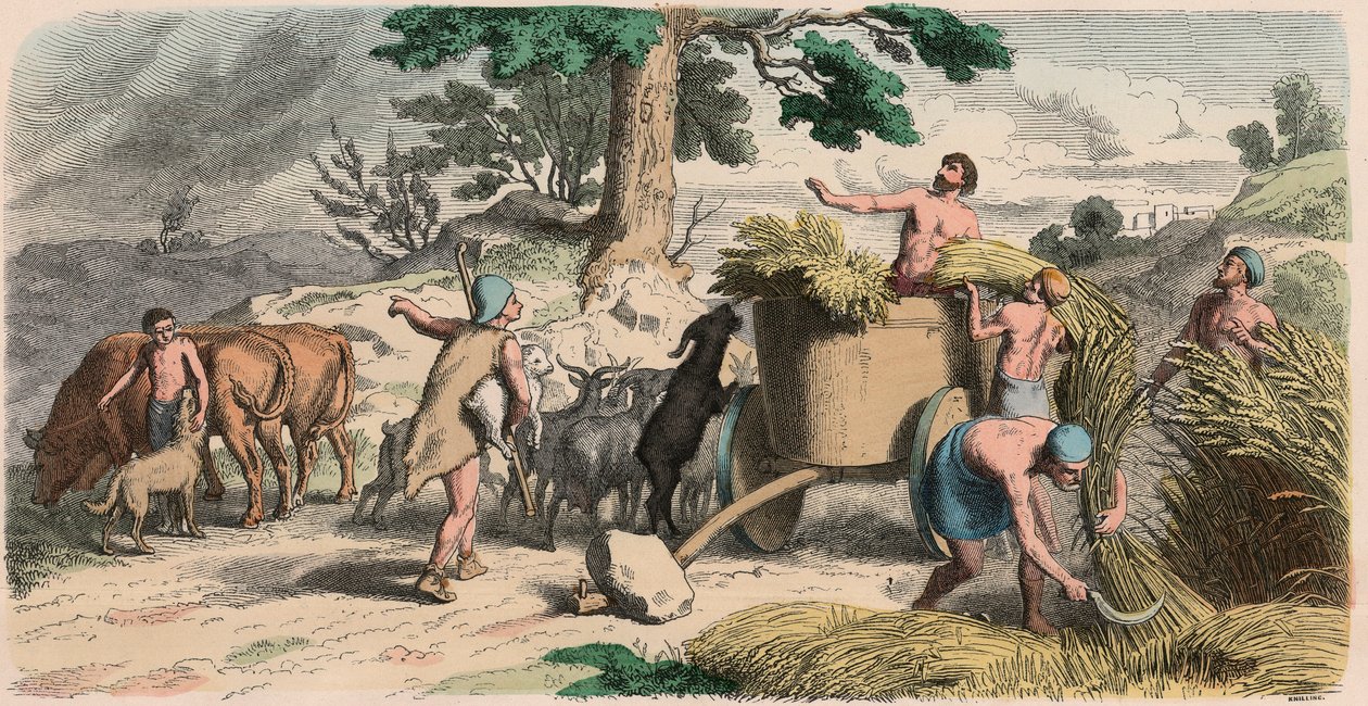Ancient Greece: Life in the Country by Unbekannt
