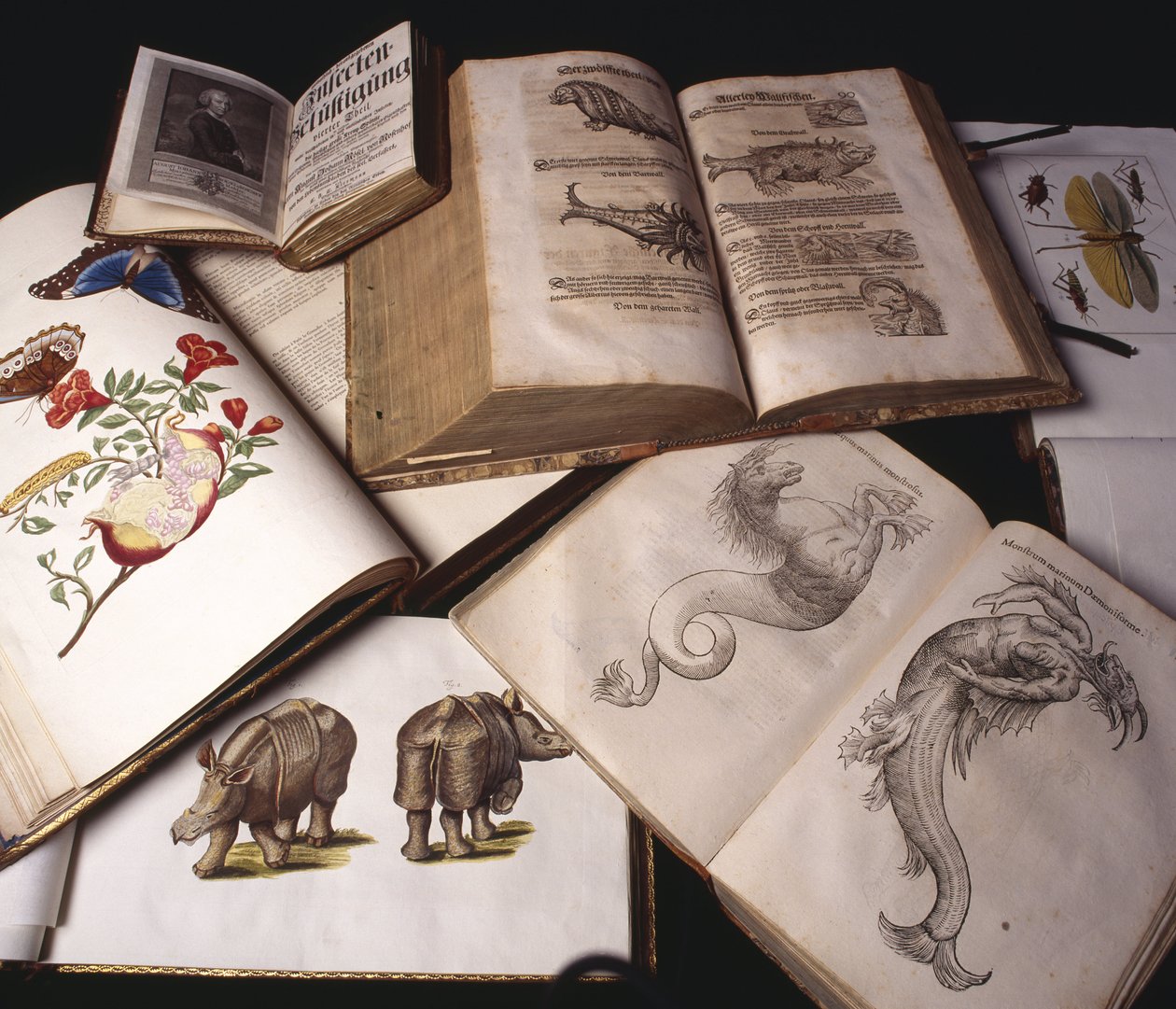 Ancient Zoology Books by Unbekannt