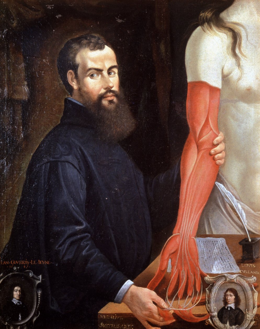 Andre Vesale (1514-1564) Flemish doctor, father of modern anatomy by Unbekannter Künstler