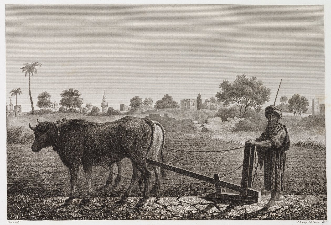 Arable Farming, Ploughing Ploughing with oxen, Egypt, c 1798 by Unbekannt