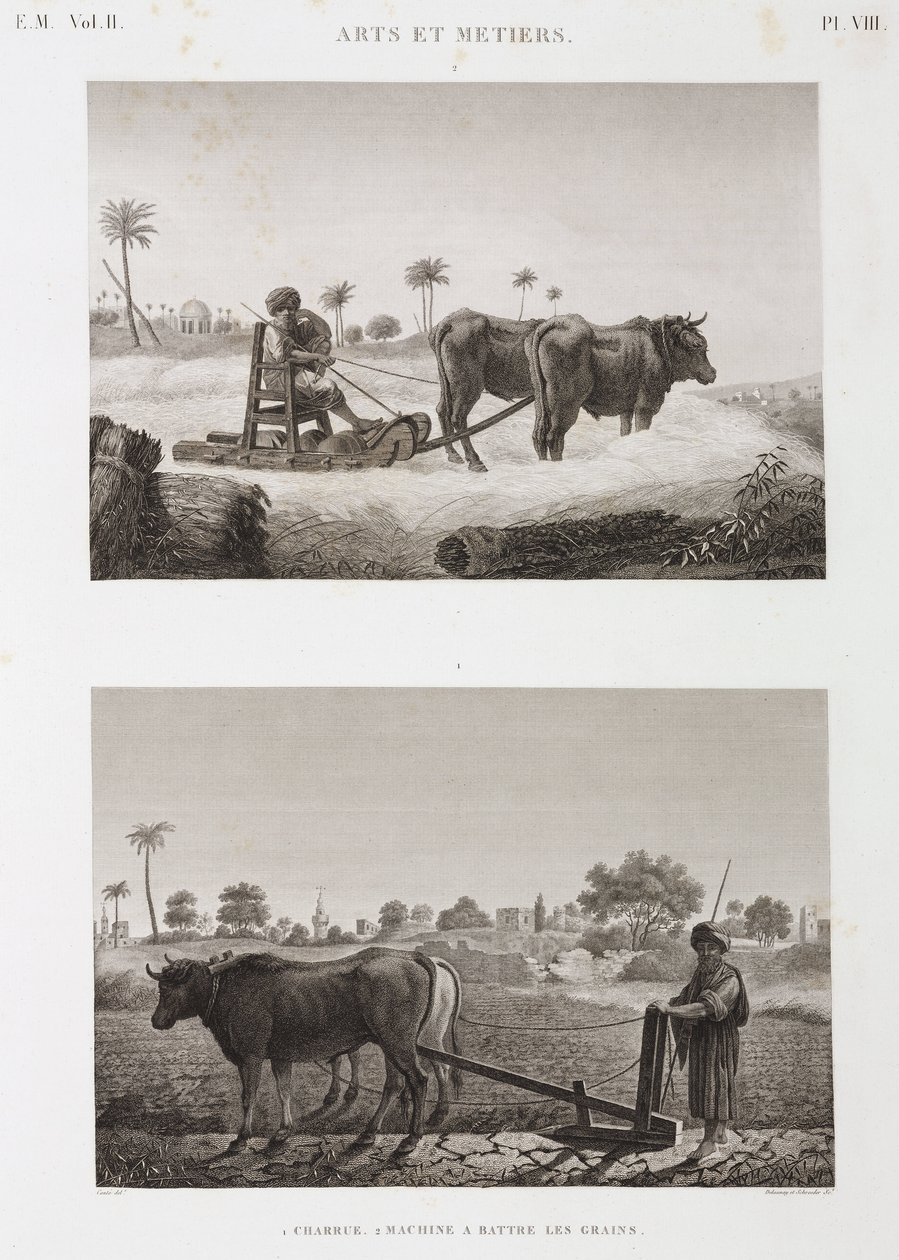 Arable Farming, Ploughing Threshing Machine and Plough, Egypt, circa 1798 by Unbekannt