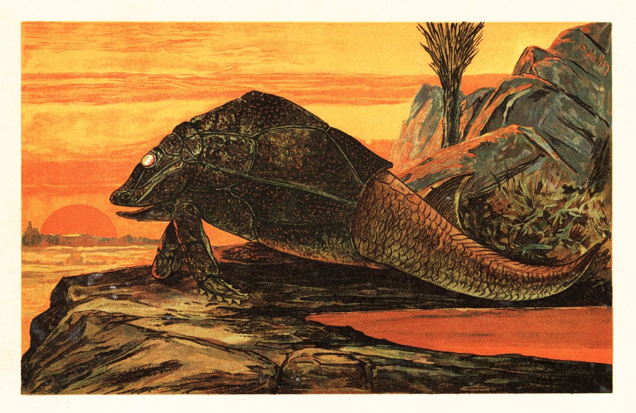 Asterolepis cornutus, Extinct Species of Armour-plated Fish (lithograph) by Unbekannter Künstler