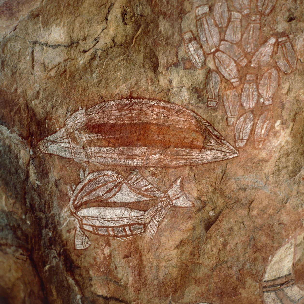 Australia, Northern Territory, Arnhem Land, Kakadu National Park, Nourlangie Rock, Aboriginal rock paintings by Benjamin Baud