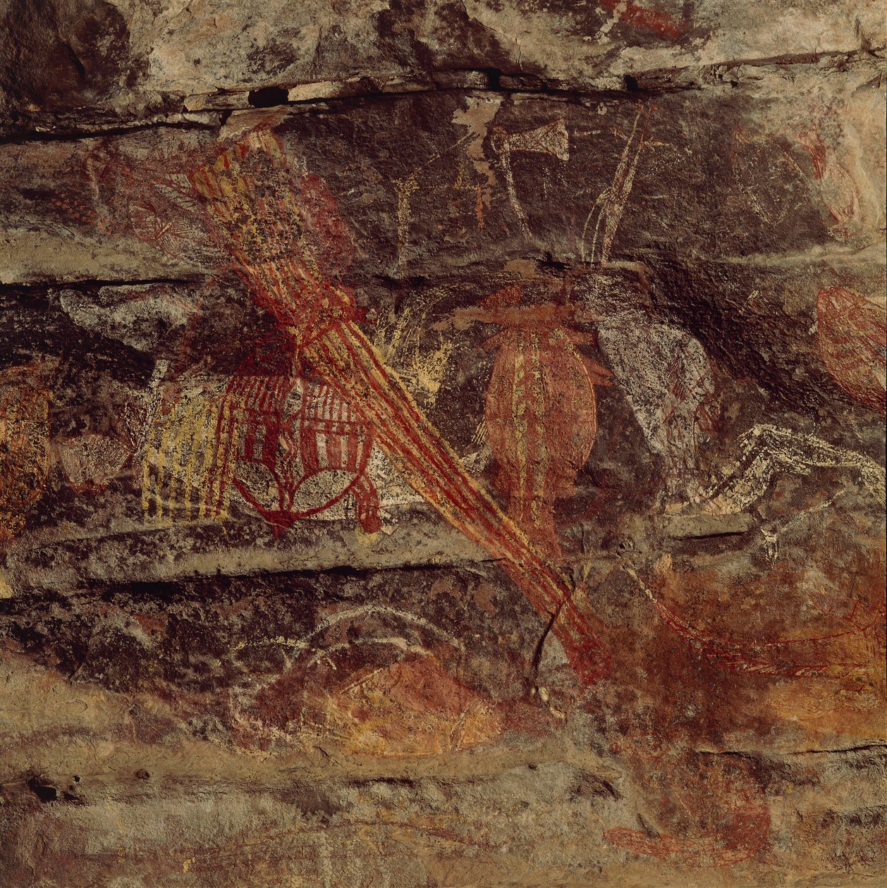 Australia, Northern Territory, Arnhem Land, Kakadu National Park, Obiri Rock, Aboriginal rock paintings by Benjamin Baud