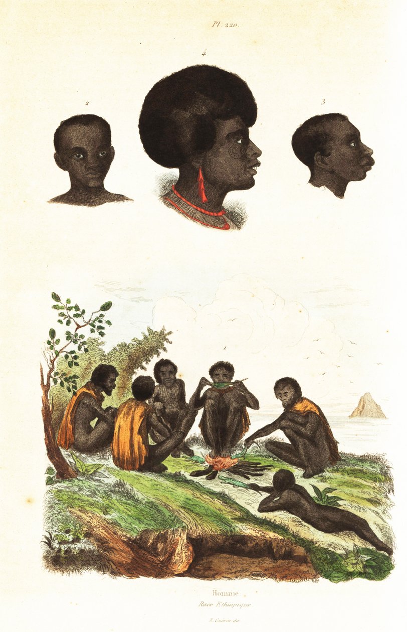 Australian Aborigines and Heads of Natives of Waigeo, West Papua by Unbekannter Künstler
