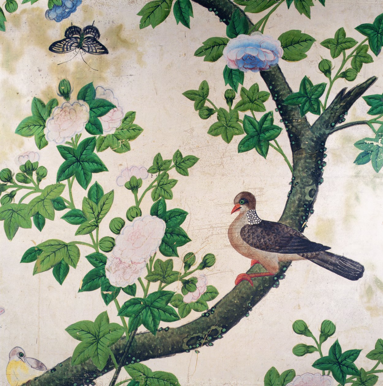 Bird Wallpaper by Unbekannter Künstler