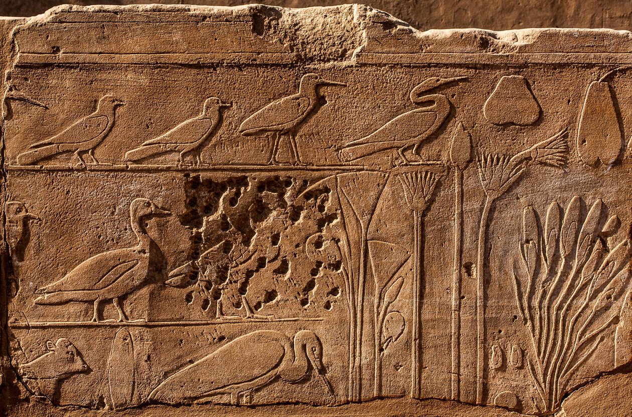 Botanical Garden of Thutmosis III with Relief Depictions of Plants and Animals, Karnak Temple, Luxor, Thebes, Egypt by Unbekannter Künstler