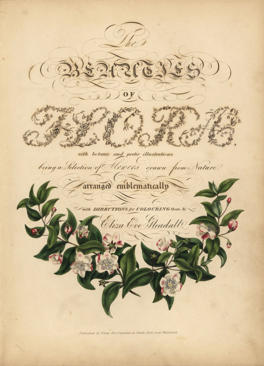 Calligraphic title page with botanical vignette by Unbekannt