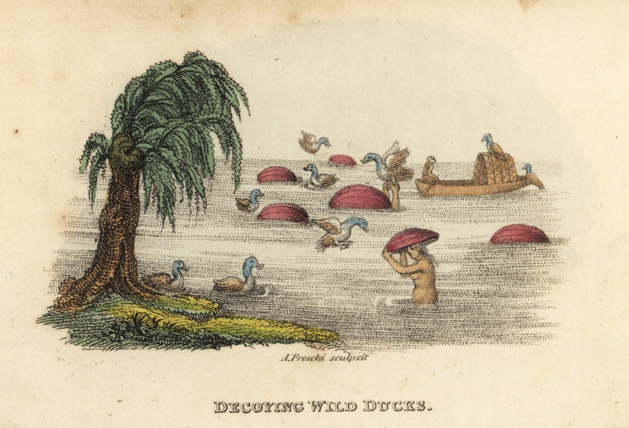 Chinese men hunting wild ducks with decoy gourd hats in the river, Qing Dynasty by Unbekannter Künstler