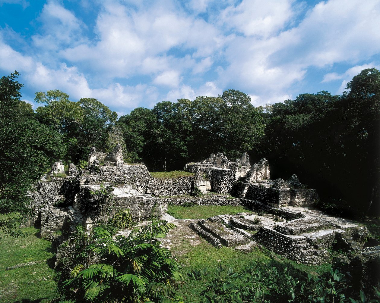 Pre-Columbian Civilization: View of the Maya Site of Uaxactun (Group A) by Alec Hunter