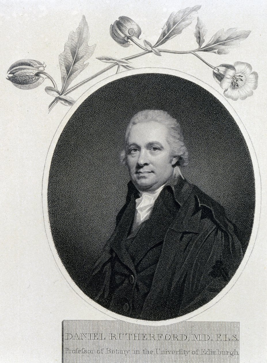 Daniel Rutherford, Scottish chemist and botanist, early 19th century by Unbekannt